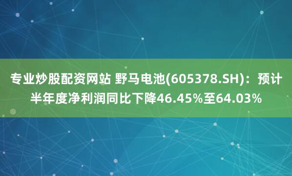 专业炒股配资网站 野马电池(605378.SH)：预计半年度净利润同比下降46.45%至64.03%