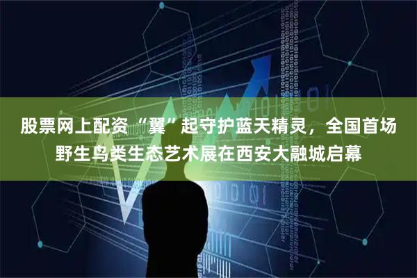 股票网上配资 “翼”起守护蓝天精灵，全国首场野生鸟类生态艺术展在西安大融城启幕