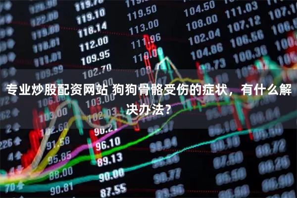 专业炒股配资网站 狗狗骨骼受伤的症状，有什么解决办法？